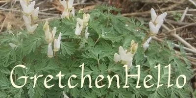GretchenHello Font