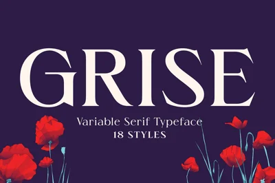 Grise - Variable Serif (18 Fonts)
