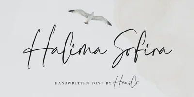 Halima Sofira Font