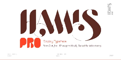Hamis Pro Font