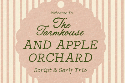 Handwritten Whimsy Serif and Script Font