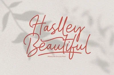 Haslley Beautiful Monoline Font