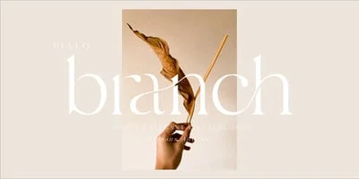 Hello Branch Font