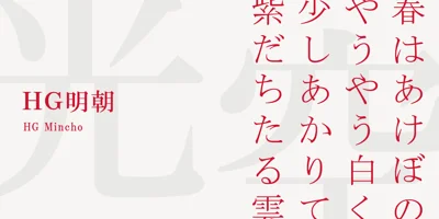 HG Mincho Font