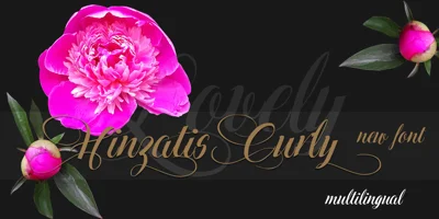 Hinzatis Font