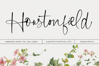 Houstonfield//Modern Script Font Free Download