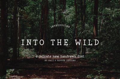 Into the Wild Font Free Download