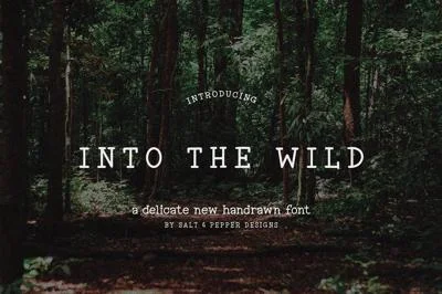 Into the Wild Font