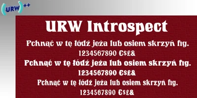 Introspect Font