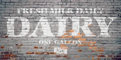 ITC Zapf International Font