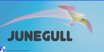 Junegull Font
