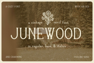 Junewood by Cindy Roaming Designs