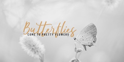 Kaftice Font