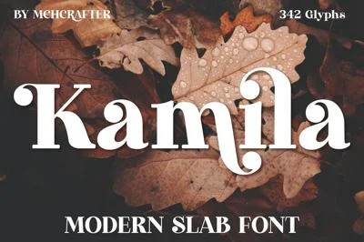 Kamila | Modern Slab Serif Font