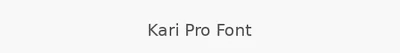Kari Pro Font