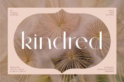 Kindred - Elegant and chic font