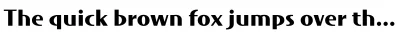 Koala Font
