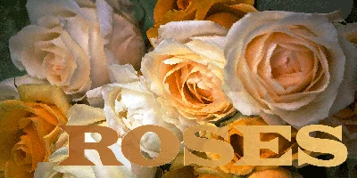 Latin CT Font