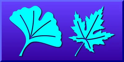 Leaf Assortment Font