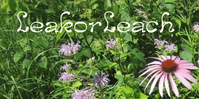 LeakorLeach Font