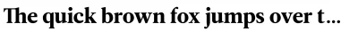 Leitura News Font