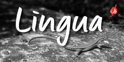 Lingua Font