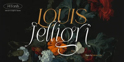 LOUIS felligri Font
