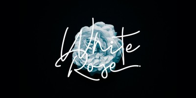 Madelon Script Font