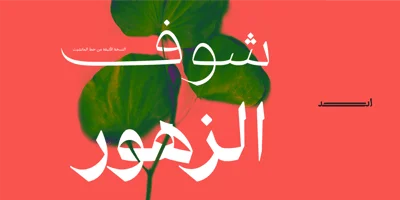 Manchette Fine Font