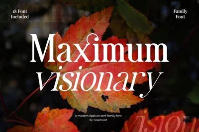 Maximum Visionary Ligature Family