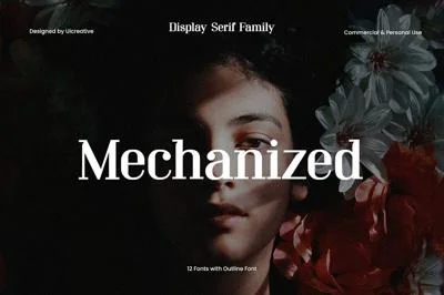 Mechanized Display Serif Font