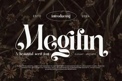 Megifin Beautiful Ligature Serif Font