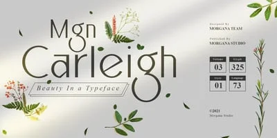 MGN Carleigh Font
