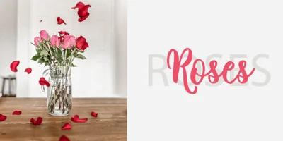 Mignon Font