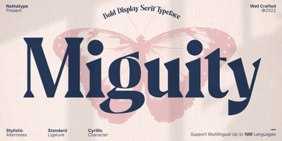 Miguity Font