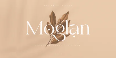 Moglan Font