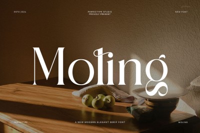 Moling Elegant Serif Font
