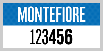 Montefiore Free Download