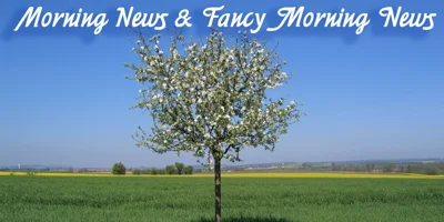 Morning News Font
