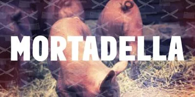 Mortadella Font