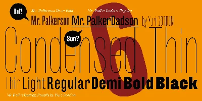 Mr Palker Dadson Font