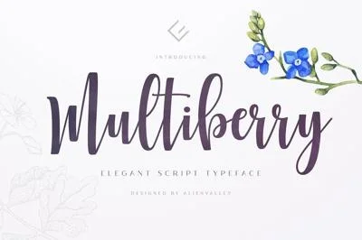 Multiberry - Script Font