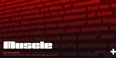 Muscle Font