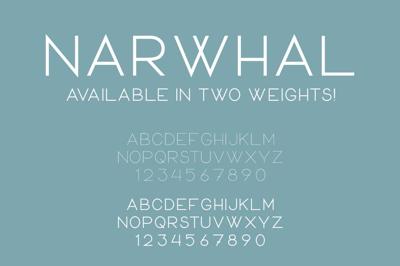 Narwhal Free Download