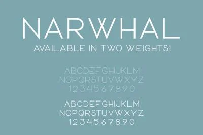 Narwhal Font