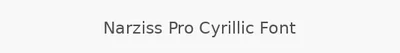 Narziss Pro Cyrillic Font