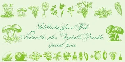 Naturella Font