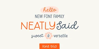 Neatly Said Font