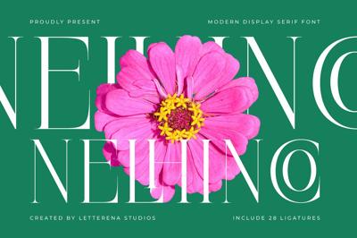Nelhinco Modern Display Serif Free Download