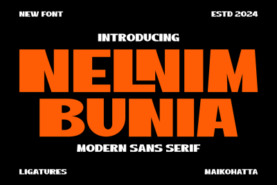 Nelnim Bunia - Modern Sans Serif Font